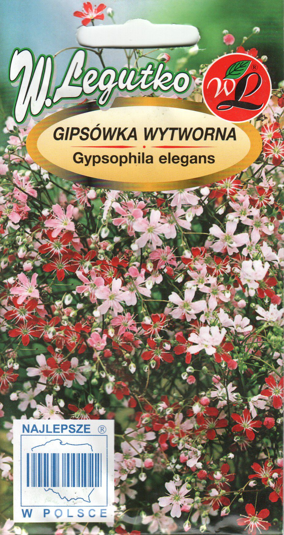 Kaunis kipslill segu - seemned.ee